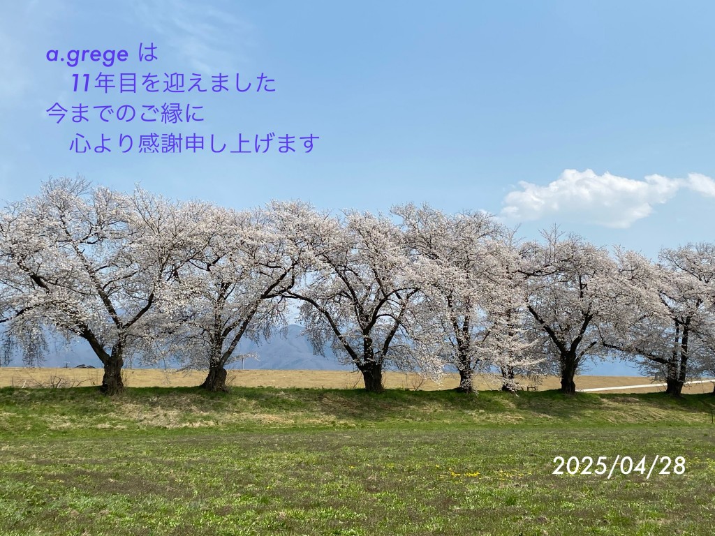 phonto (1.8m)